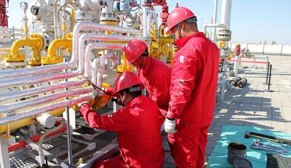 自限温电伴热带